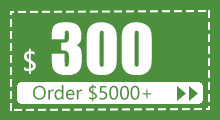 $300 coupon