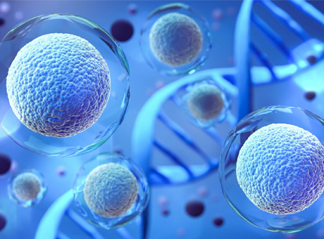 application in biopharmaceuticals