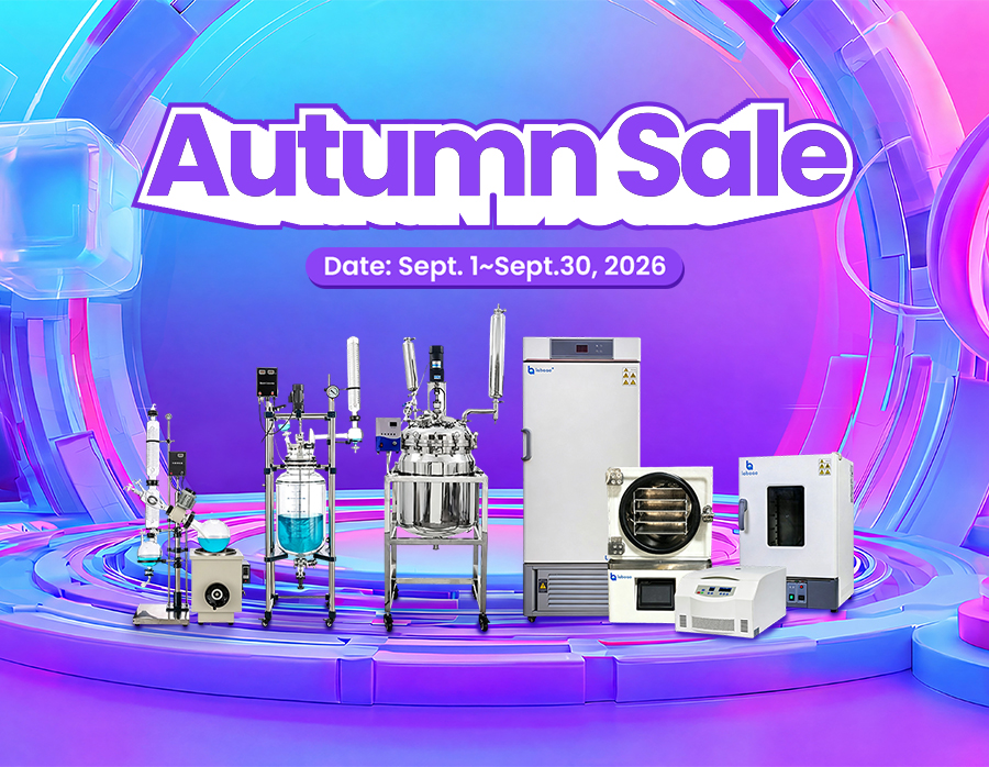 2026 Autumn Sale
