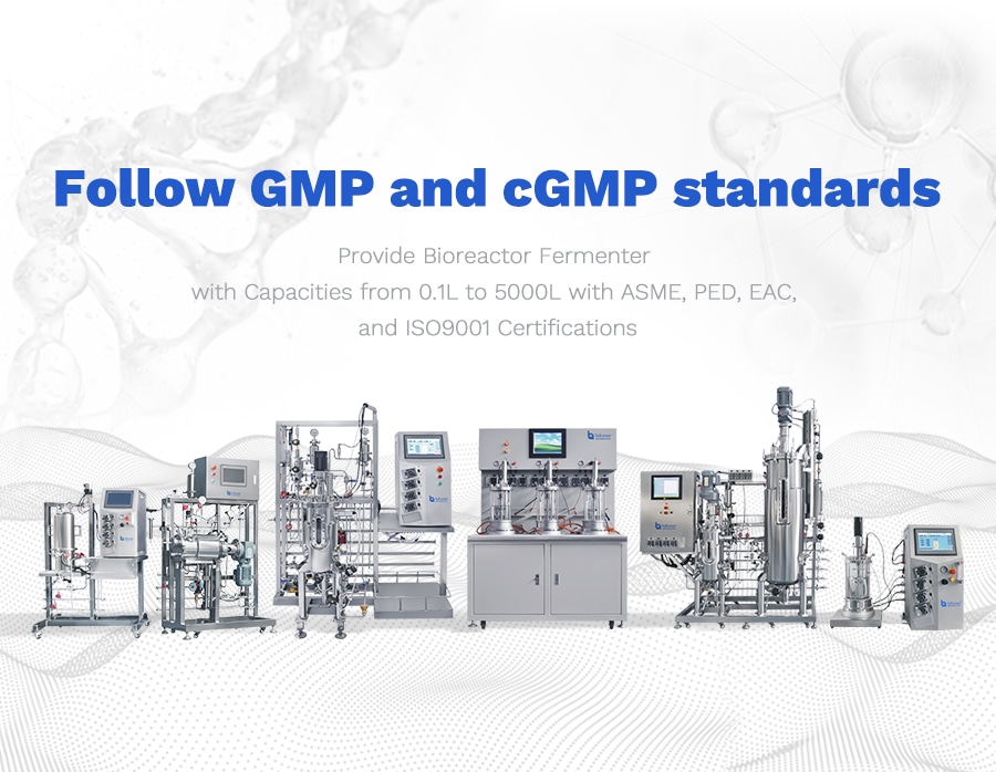 Bioreactor Fermenter