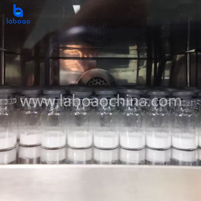 0.5㎡ Top Press Silicone Oil Heating Lyophilizer