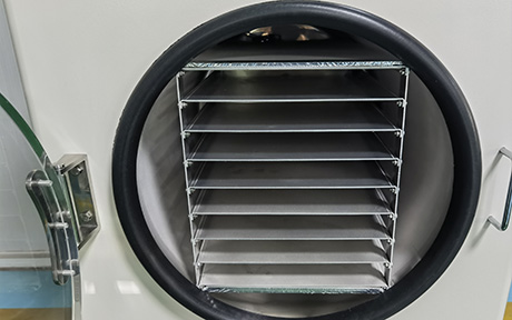 10-12kg Large Food Freeze Dryer detail - Stainless steel material trays and drying chamber.