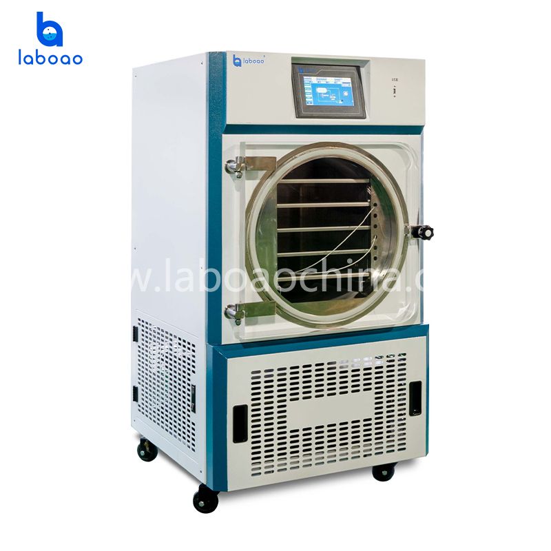 10kg Large Household Vacuum Freeze Dryer For Food