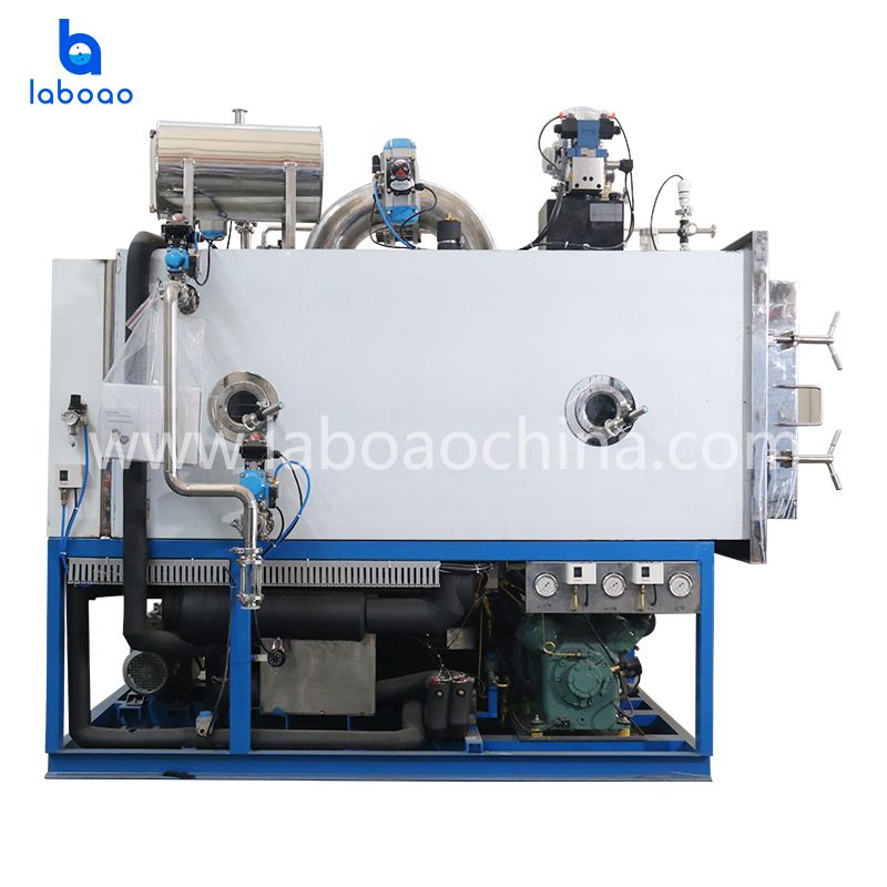 Small Pharmaceutical Freeze Dryer