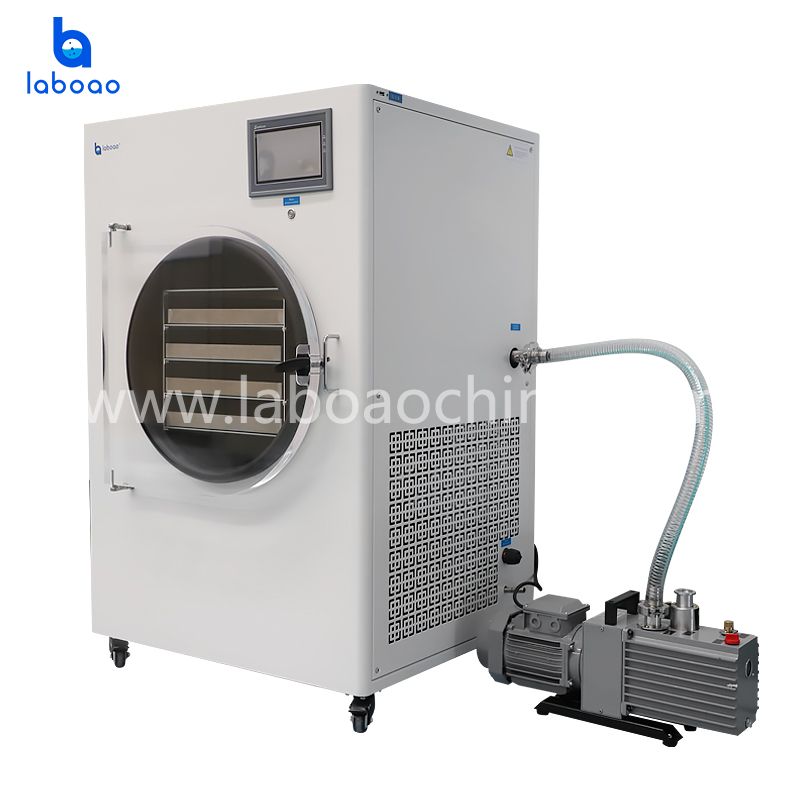 6-7kg Freeze Dryer Lyophilizer For Fruits And Vegetables