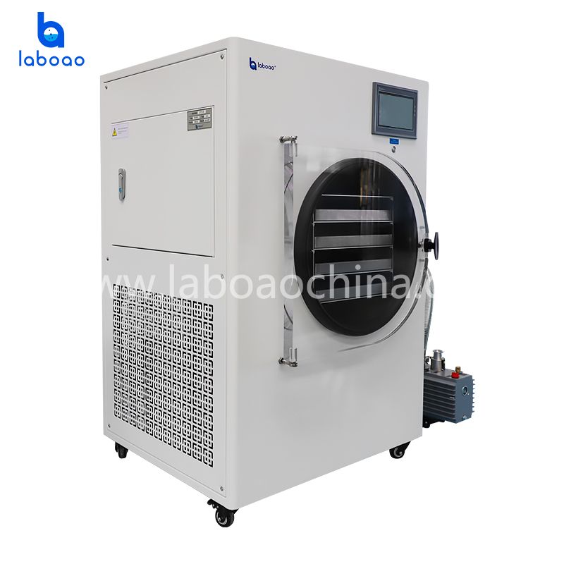 6-7kg Freeze Dryer Lyophilizer for Fruits and Vegetables