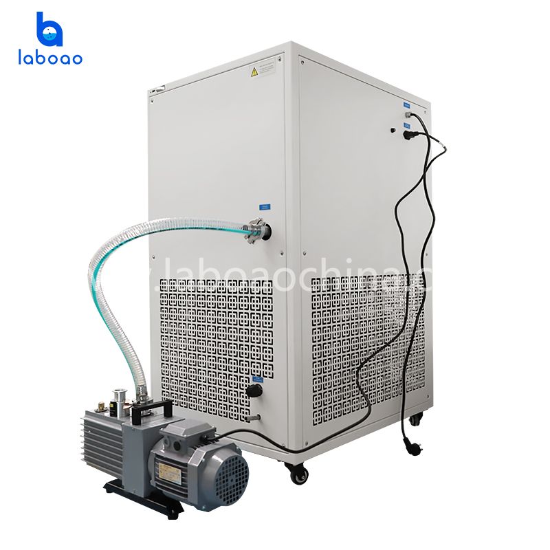 6-7kg Freeze Dryer Lyophilizer for Fruits and Vegetables
