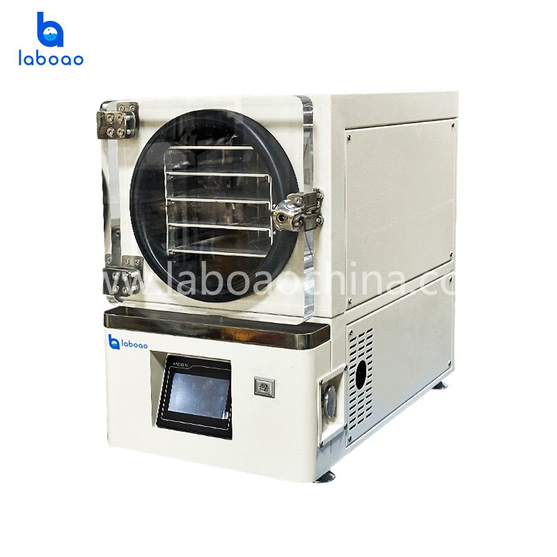 Benchtop Mini Vacuum Freeze Dryer With Built-in Vacuum Pump