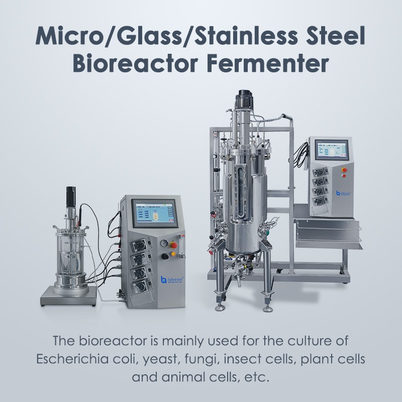 Bioreactor Fermenter