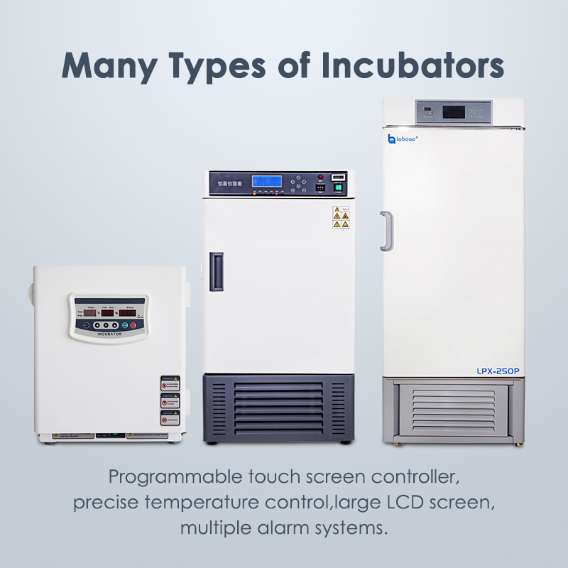 Incubator