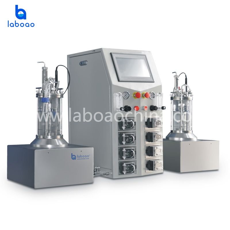 Desktop Two Conjoined Sterilization Glass Bioreactor Fermenter