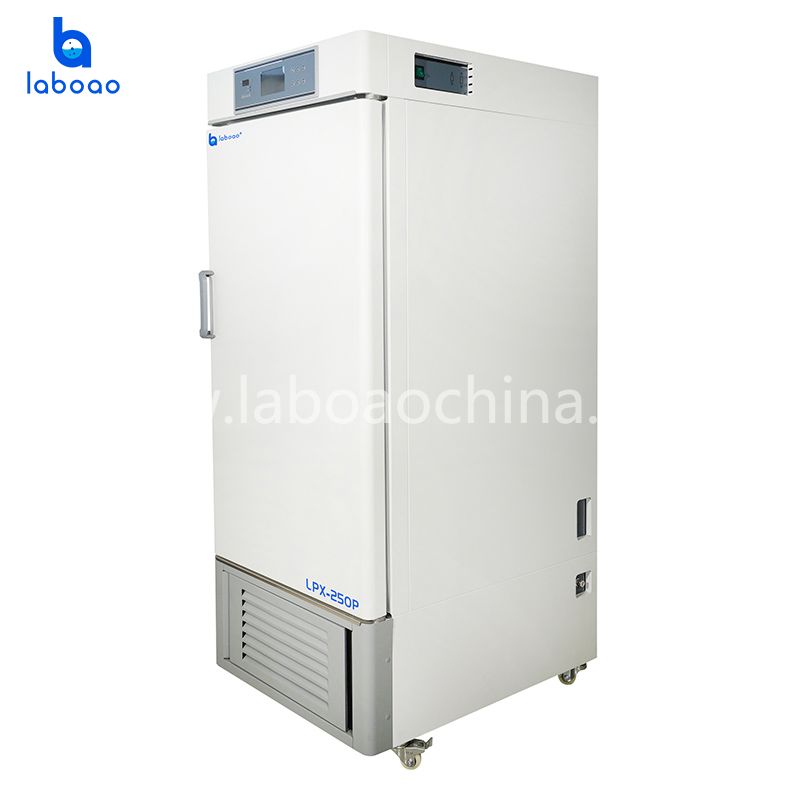 Laboratory Equipment Precision Biochemical Incubator