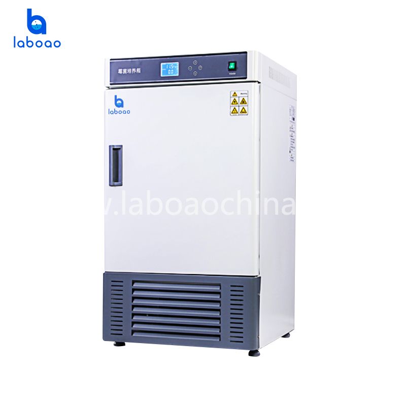 Mold Incubator For Environmental Protection And Health