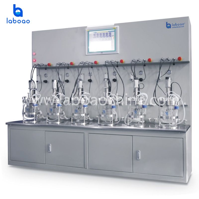 Off-site Sterilization Six-Twelve Conjoined Glass Bioreactor