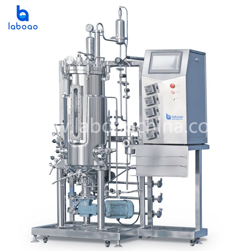 Under Mechanical Stirring Stainless Steel Bioreactors System