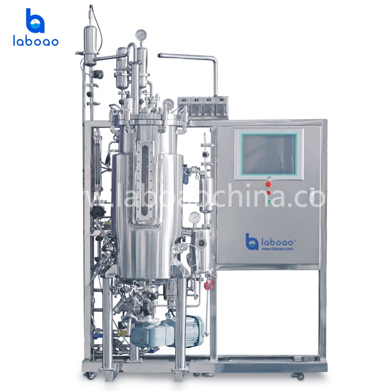 Under Mechanical Stirring Stainless Steel Bioreactors System