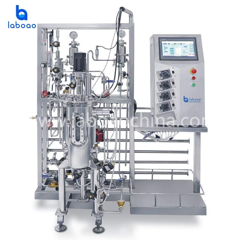 Stainless Steel Upper Mechanical Stirring Bioreactors