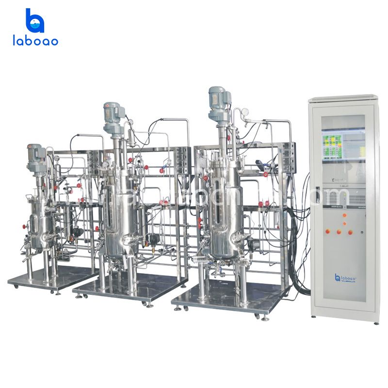 Tertiary Stainless Steel Fermentation System