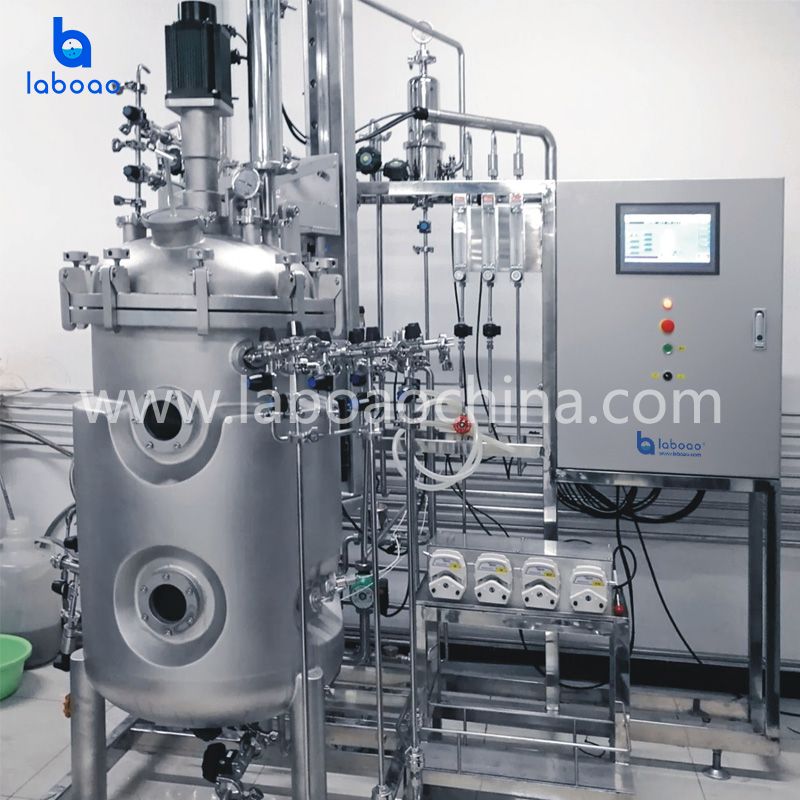 Top Magnetic Mixing Stainless Steel Bioreactors