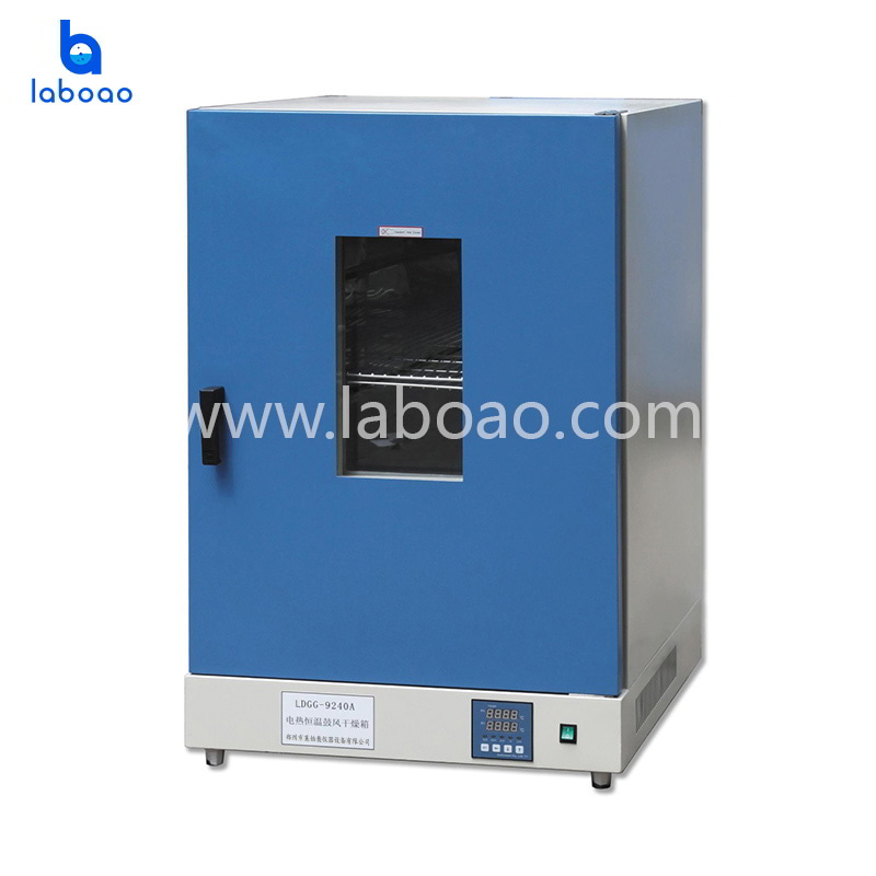 Vertical Electric Heating Constant Temperature Blast Drying Oven